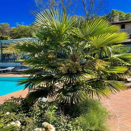 アパート Aircon, Wifi, Infinity Pool, Jacuzzi, Manicured Gardens 6 Apts - All Amazing Colle Umberto
